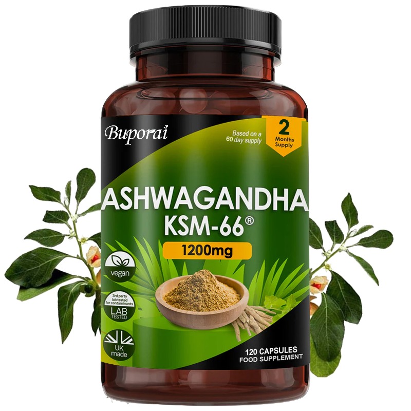 Ginkgo Biloba Extract - Ekstrak Akar Ashwagandha Organik KSM-66 Pereda