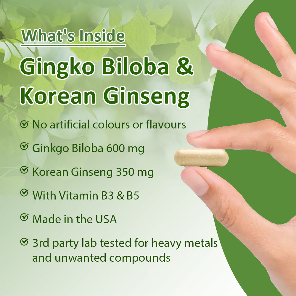 Kapsul Ginkgo Biloba & Ginseng - Ginkgo Biloba Extract ulasan dan harga