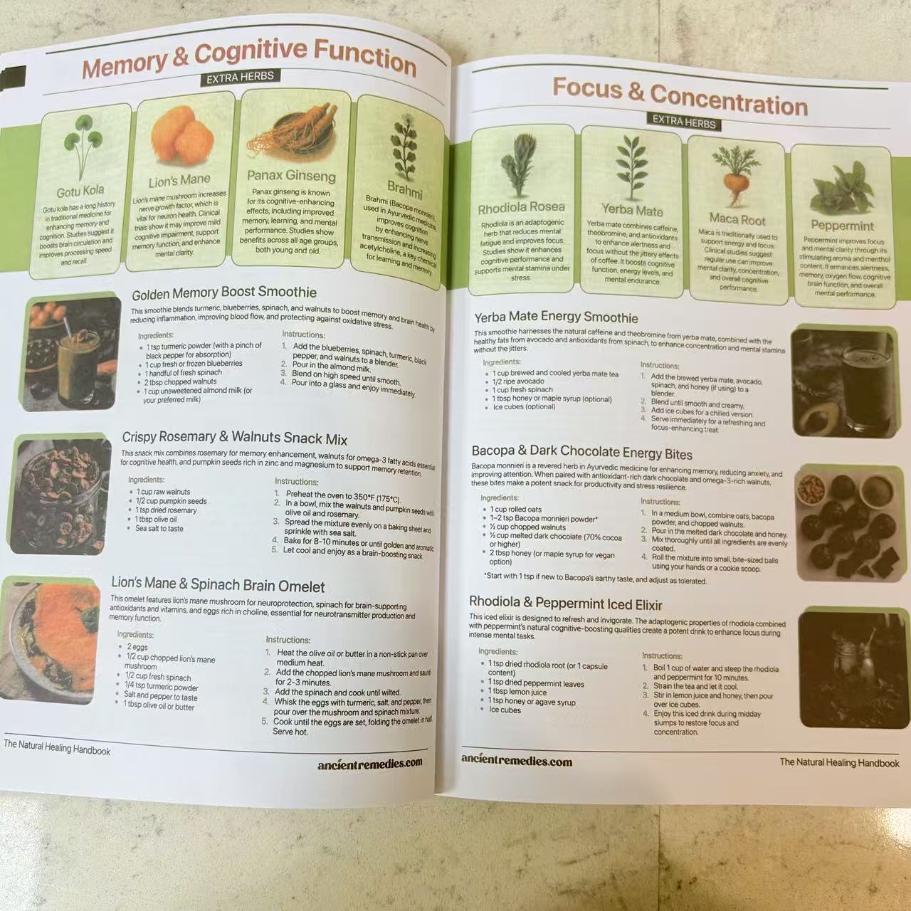 Buku Panduan Penyembuhan Alami - Herbal Holistic Wellness ulasan dan harga