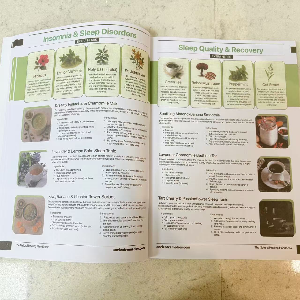 Buku Panduan Penyembuhan Alami - Herbal Holistic Wellness ulasan dan harga