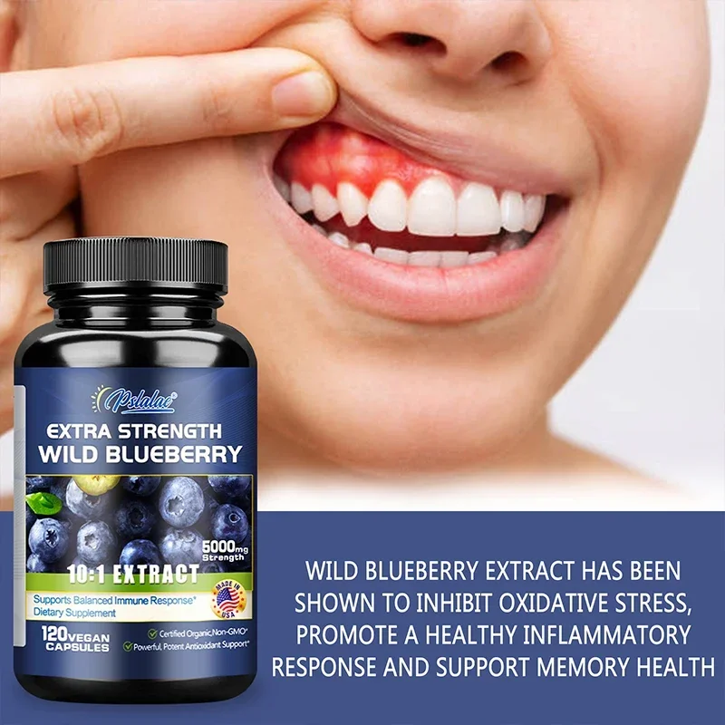 Wild Blueberry - Meningkatkan  - Ginkgo Biloba Extract ulasan dan harga