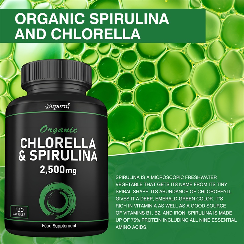 Klorella & Spirulina Organik 2 - Ginkgo Biloba Extract ulasan dan harga
